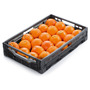 [00005] Bio Orangen KL. 2 1KG (gefördert)