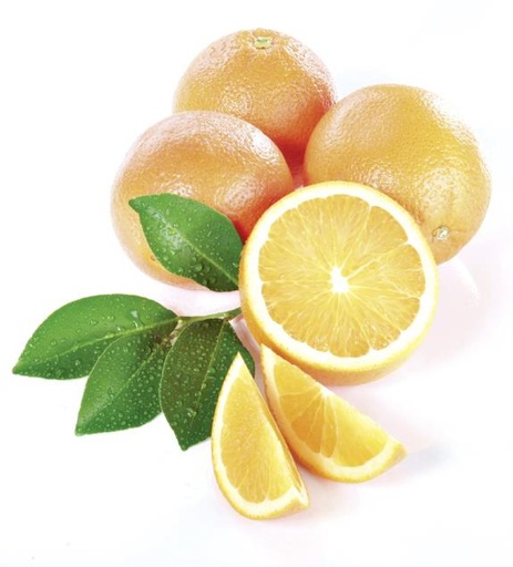 [000004] Orangen lose per KG HK Spanien